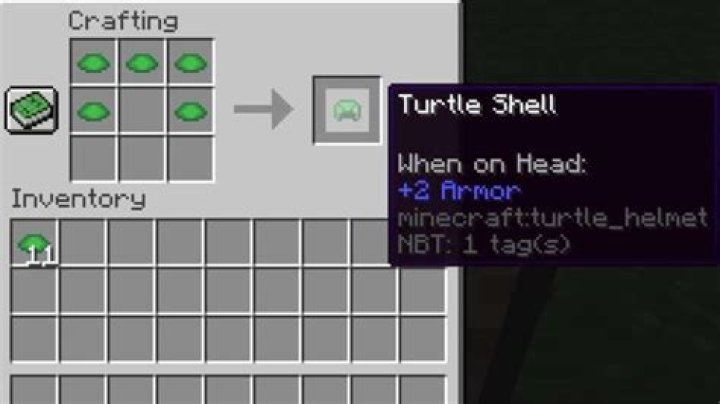 How to get a turtle shell minecraft