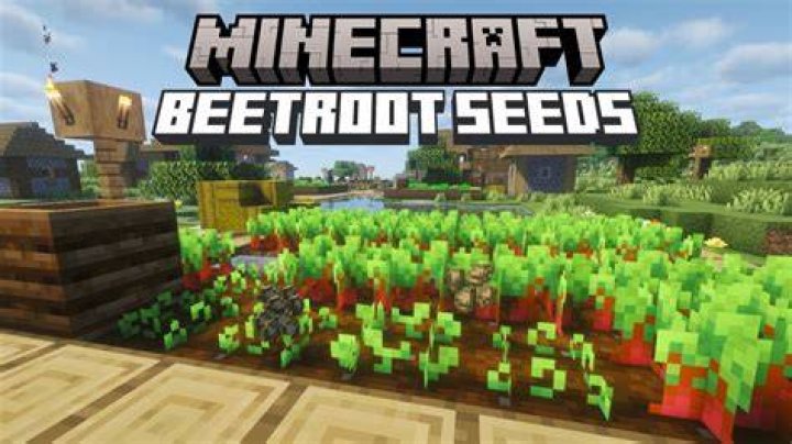 How to get beetroot seeds in minecraft