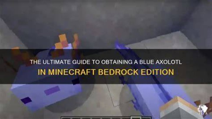 How to get blue axolotl minecraft bedrock