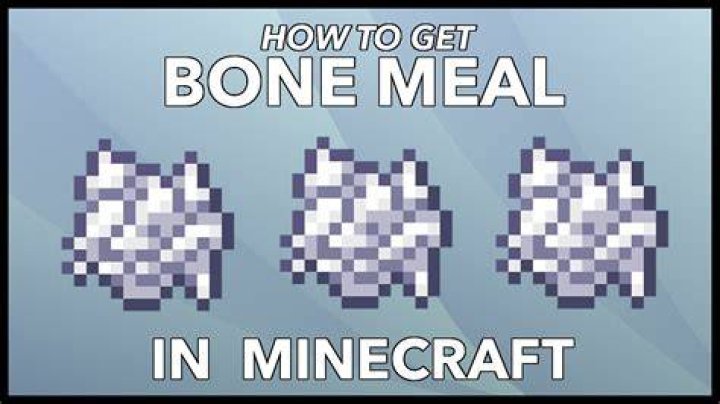 How to get bone in minecraft