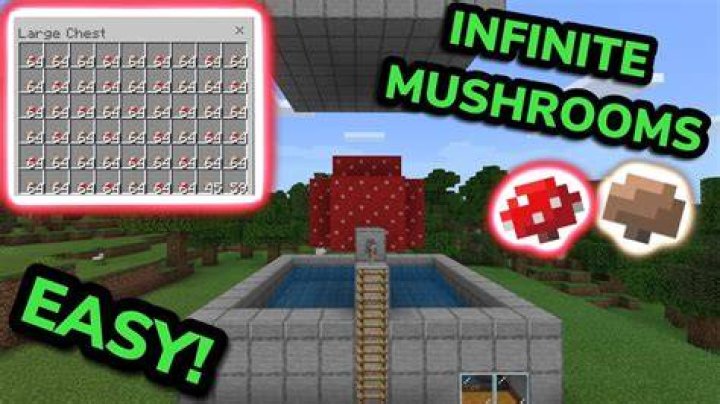 How to get brown mushrooms in minecraft