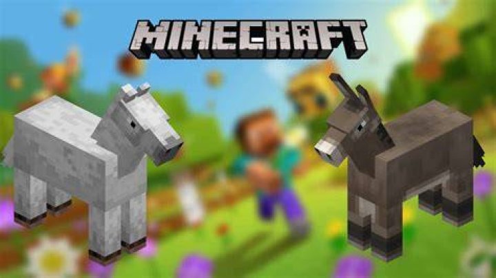 How to get donkeys in minecraft