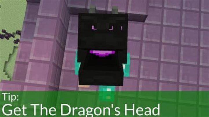 How to get dragon head in minecraft