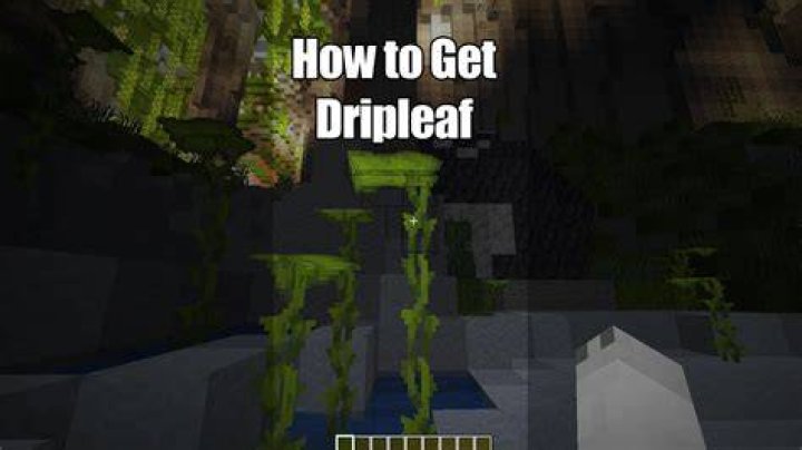How to get dripleaf in minecraft 1.17
