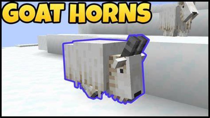 How to get goat horns in minecraft