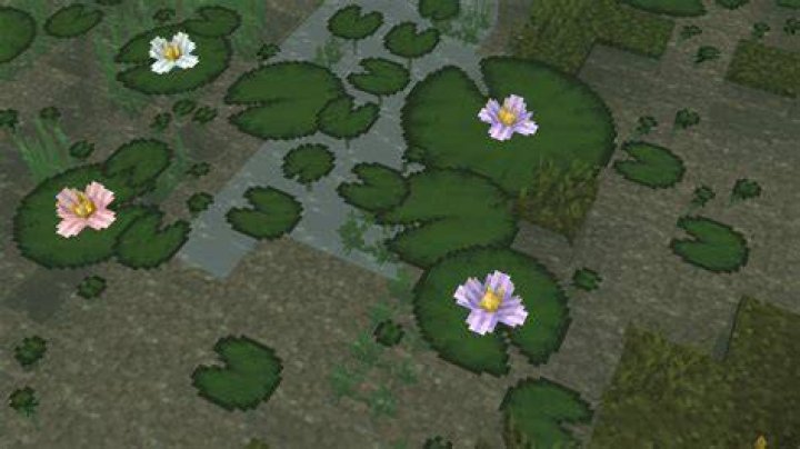 How to get lily pads in minecraft