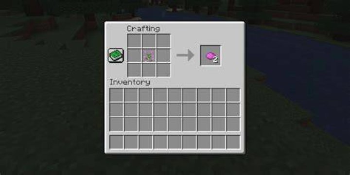 How to get magenta dye in minecraft