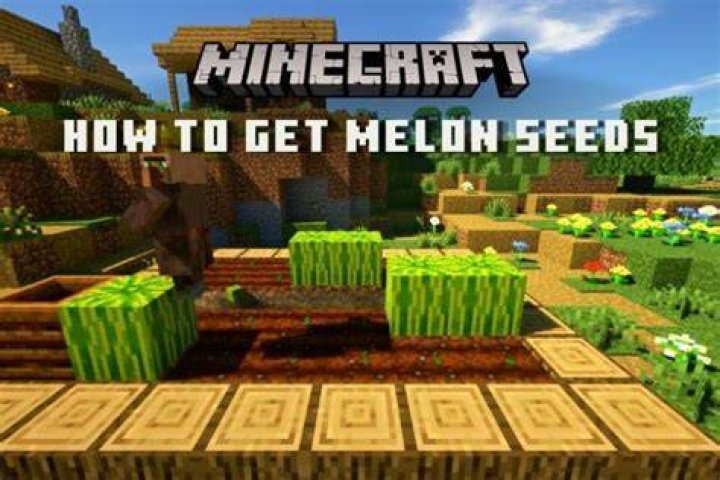 How to get melon seeds in minecraft