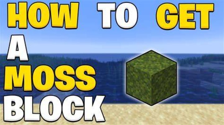 How to get moss block in minecraft