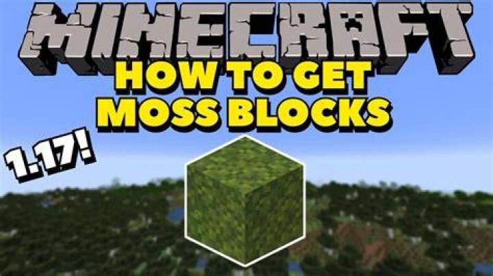 How to get moss blocks in minecraft