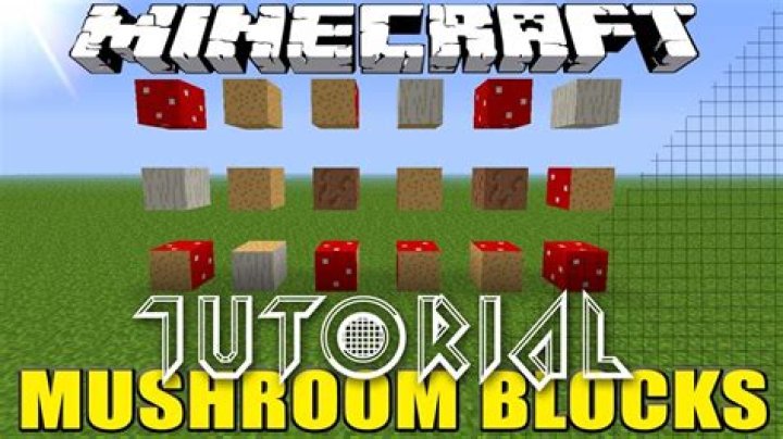 How to get mushroom blocks in minecraft