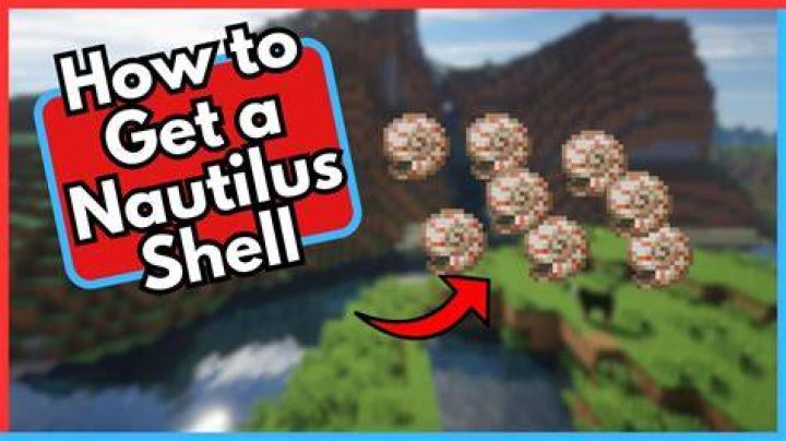 How to get nautilus shells in minecraft