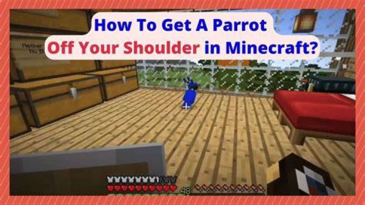 How to get parrot on shoulder minecraft