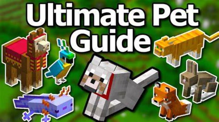 How to get pets in minecraft