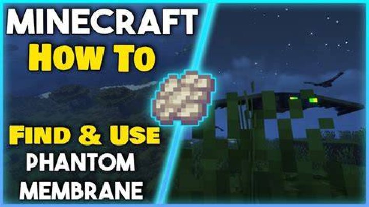 How to get phantom in minecraft