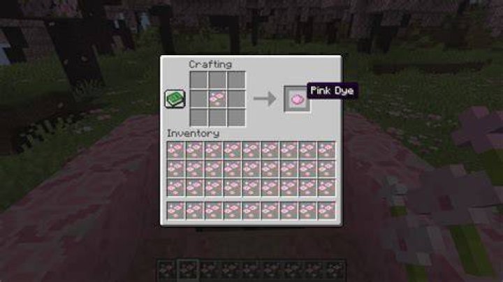 How to get pink dye in minecraft
