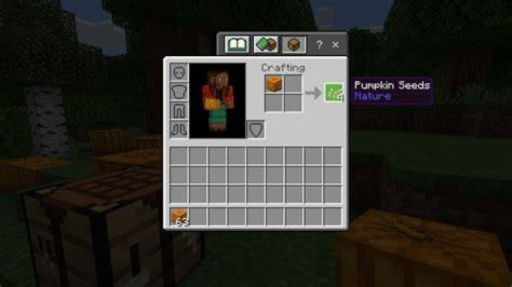 How to get pumpkin seeds in minecraft