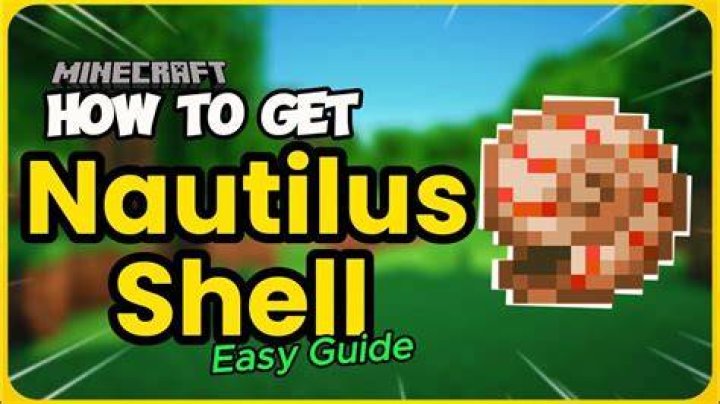 How to get seashells in minecraft