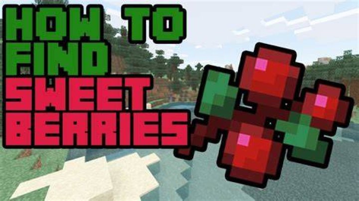 How to get sweet berries in minecraft