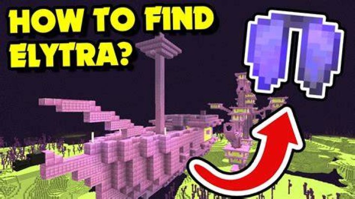How to get the elytra in minecraft