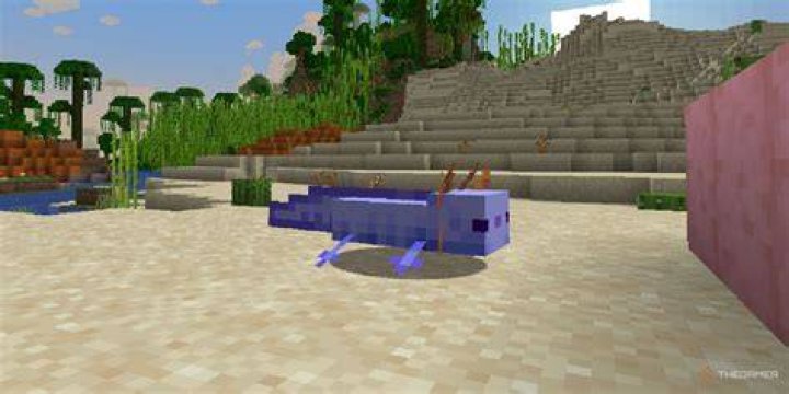 How to get the rare axolotl minecraft