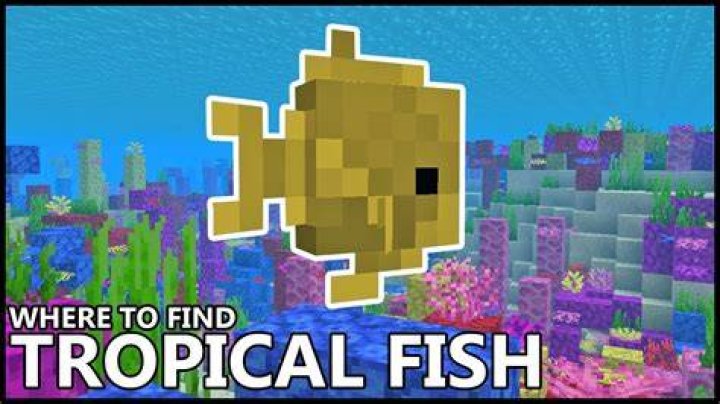 How to get tropical fish in minecraft