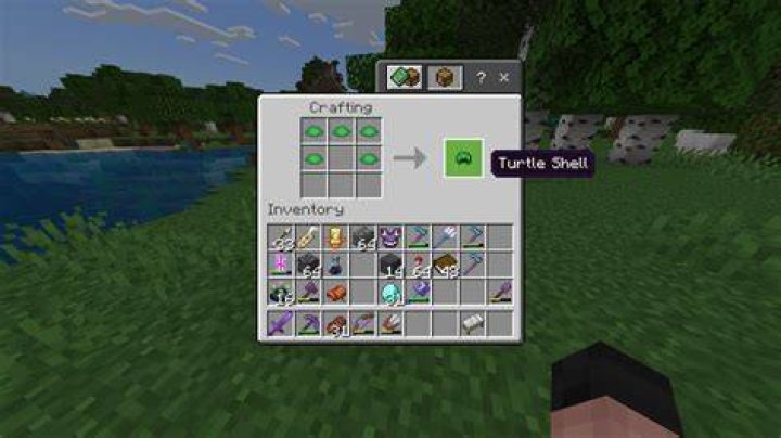 How to get turtle shells in minecraft