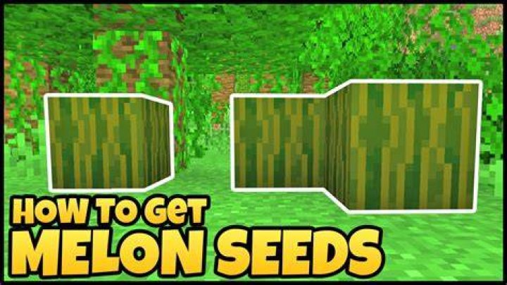 How to get watermelon seeds minecraft