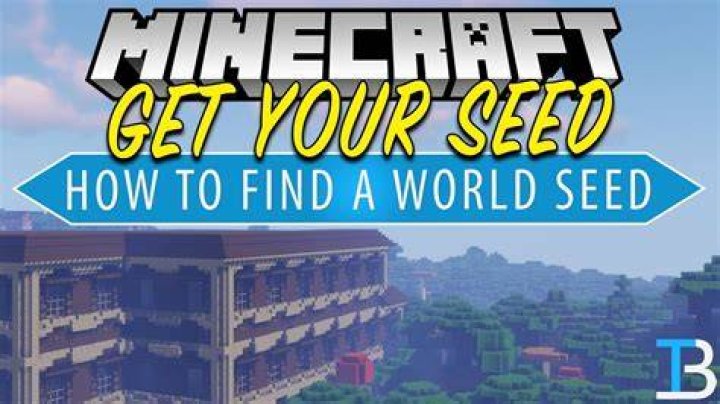 How to get world seed minecraft