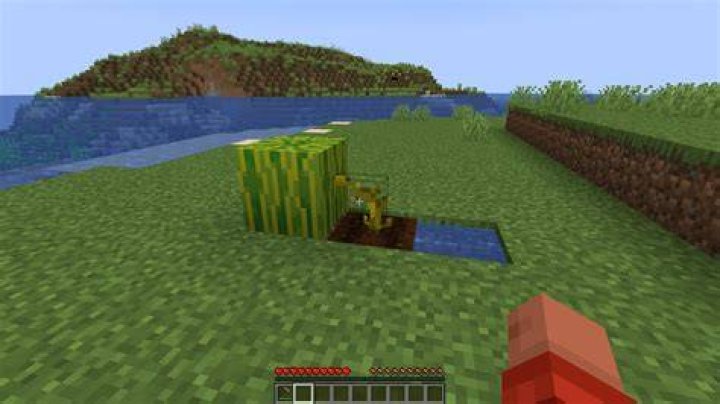 How to grow a melon in minecraft