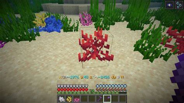 How to grow coral in minecraft