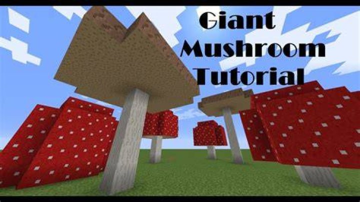 How to grow giant mushrooms minecraft