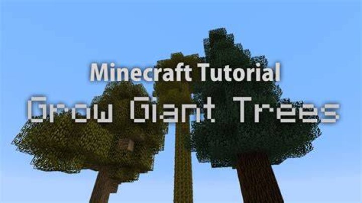 How to grow giant trees in minecraft