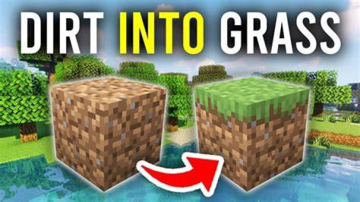 How to grow grass on dirt minecraft