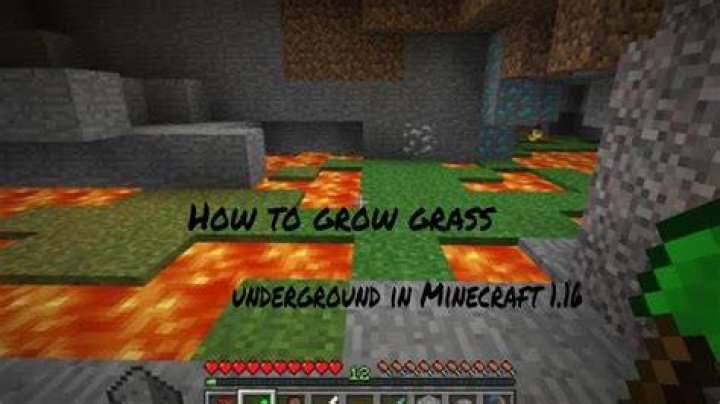 How to grow grass underground minecraft