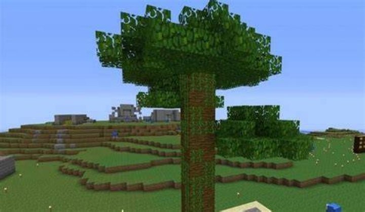 How to grow jungle trees in minecraft