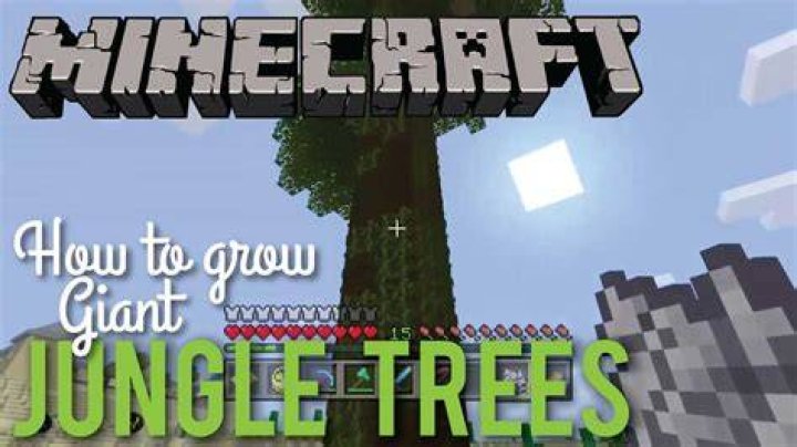 How to grow jungle trees minecraft