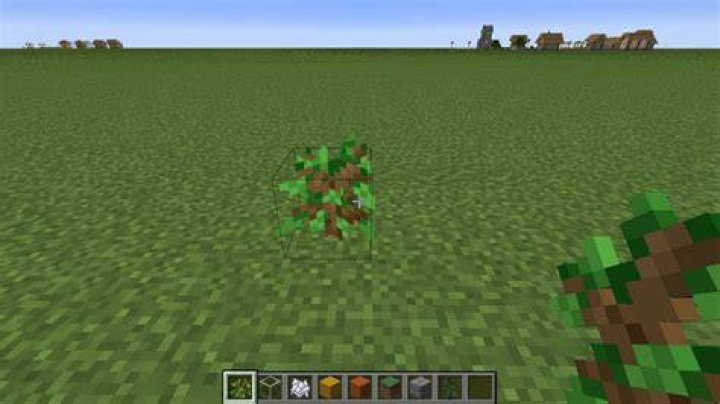 How to grow saplings in minecraft