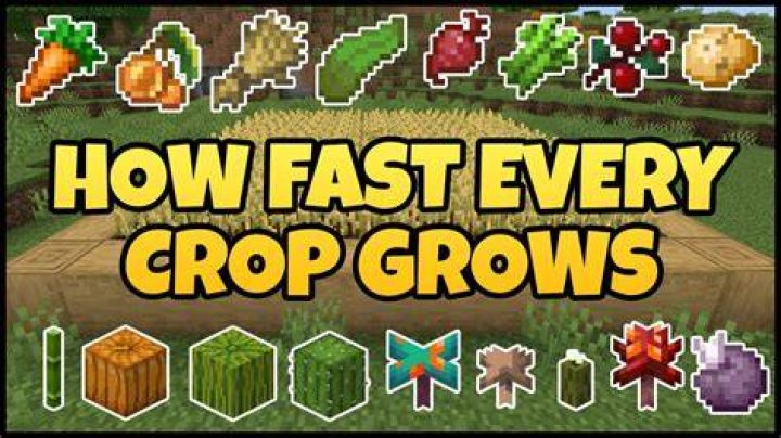 How to grow stuff in minecraft