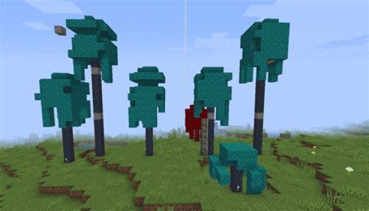 How to grow warped trees in minecraft