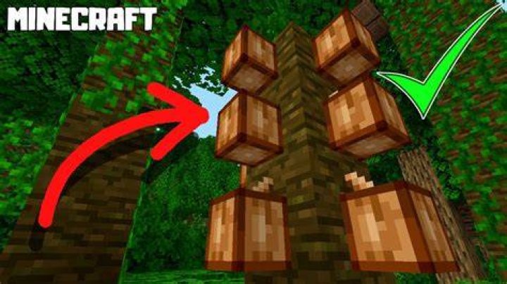 How to harvest cocoa beans in minecraft