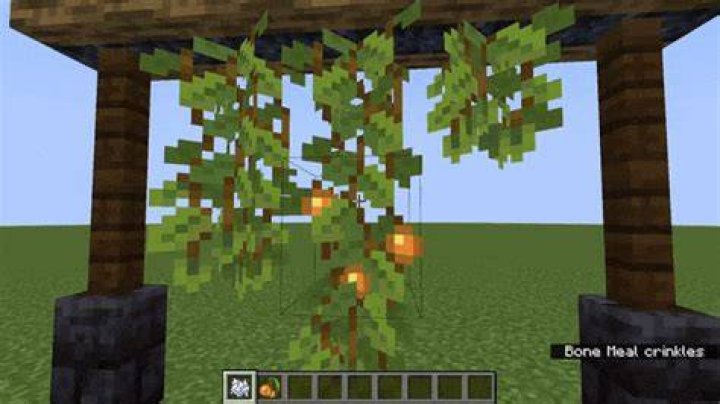 How to harvest glow berries in minecraft