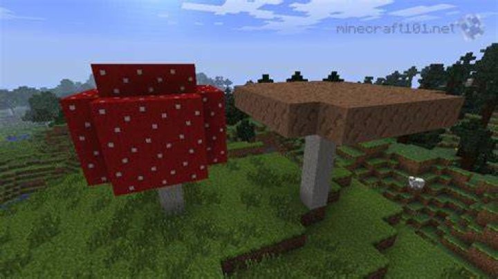 How to harvest huge mushrooms in minecraft