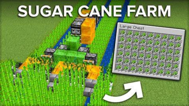 How to harvest sugar cane minecraft