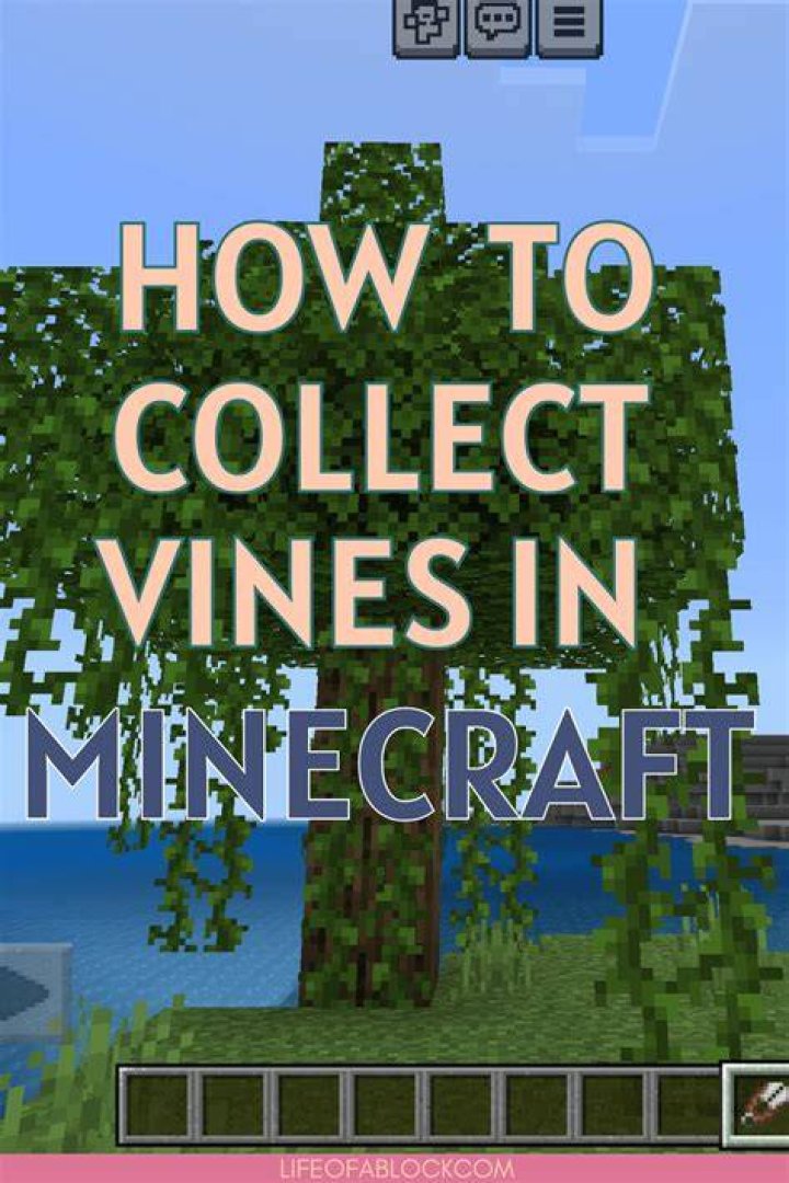 How to harvest vines in minecraft