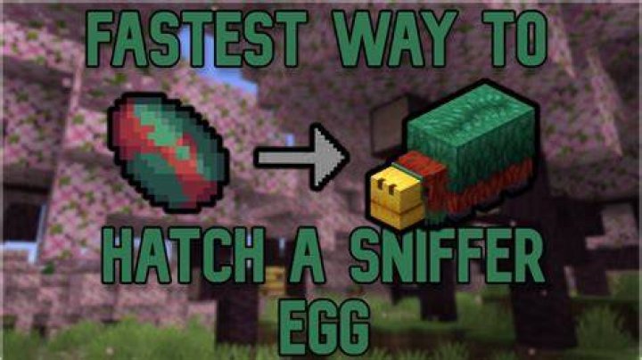 How to hatch an egg in minecraft