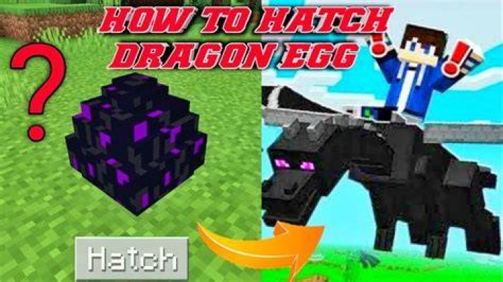 How to hatch dragon egg minecraft
