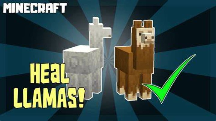 How to heal a llama in minecraft
