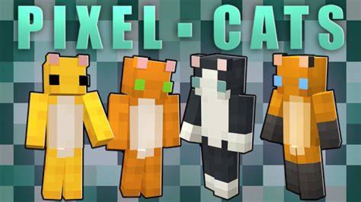 How to heal cats in minecraft