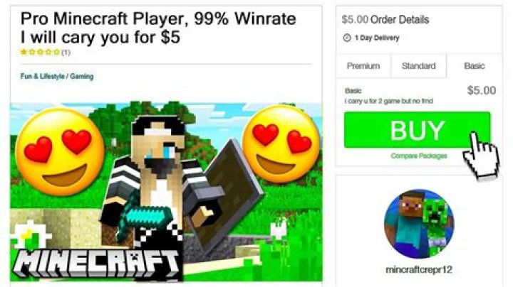 How to hire a professional minecraft player